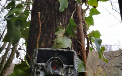 Furti reiterati presso la parete di arrampica allestita a Serino. Installata fototrappola per individuare i responsabili – FOTO